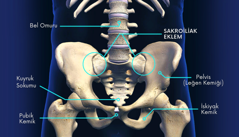 Sakroiliak Eklem A R S Nedir Nas L Tedavi Edilir Kayhan Turan
