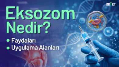 eksozom nedir