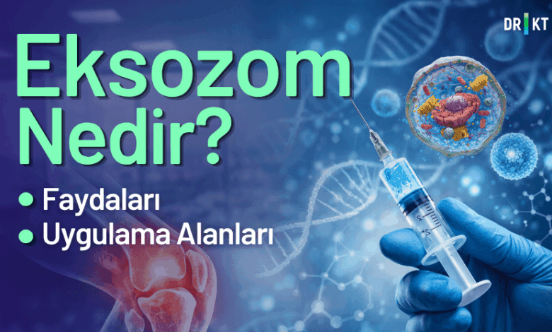 eksozom nedir