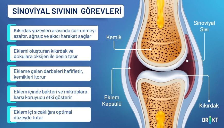 sinoviyal sıvının görevleri